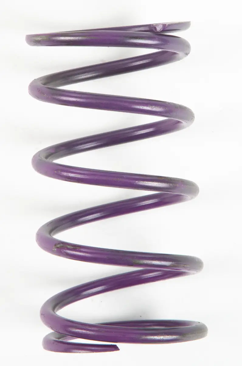 207888A Purple Spring wps-207888