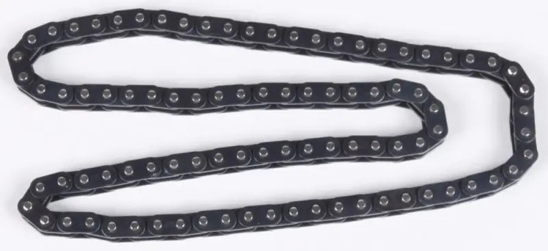 31.2487 Cam Chain wps-19-9223