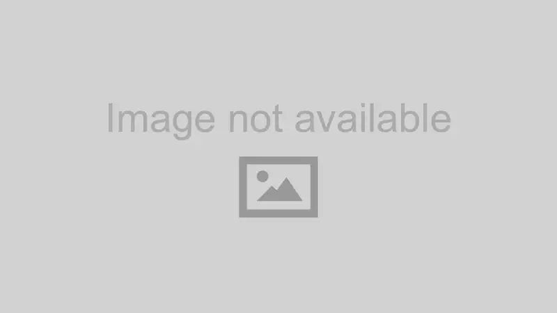 Banks 03-07 Ford 6.0L F250-F450 Replacement Boot and Clamp Kit - 25963 gbe25963