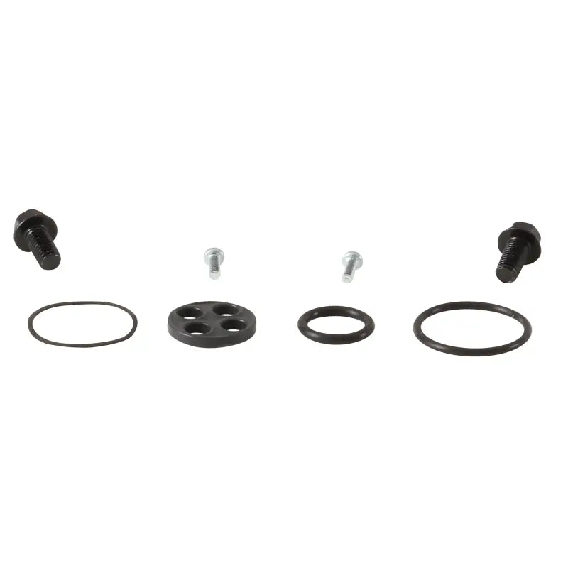 Fuel Tap Repair Kit wps-260-1060