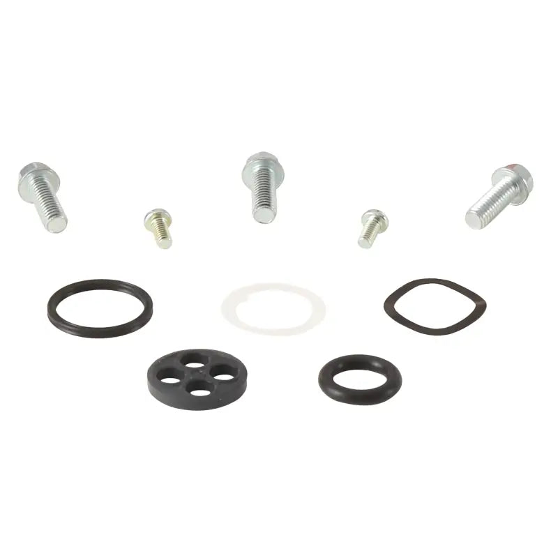 Fuel Tap Repair Kit wps-260-1102