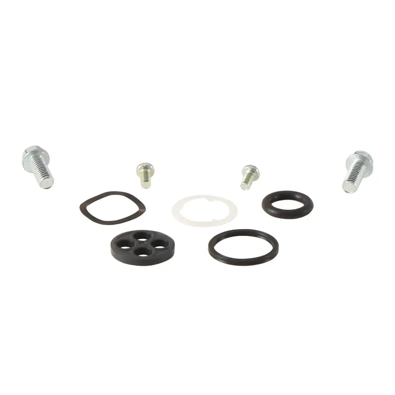 Fuel Tap Repair Kit wps-260-1104