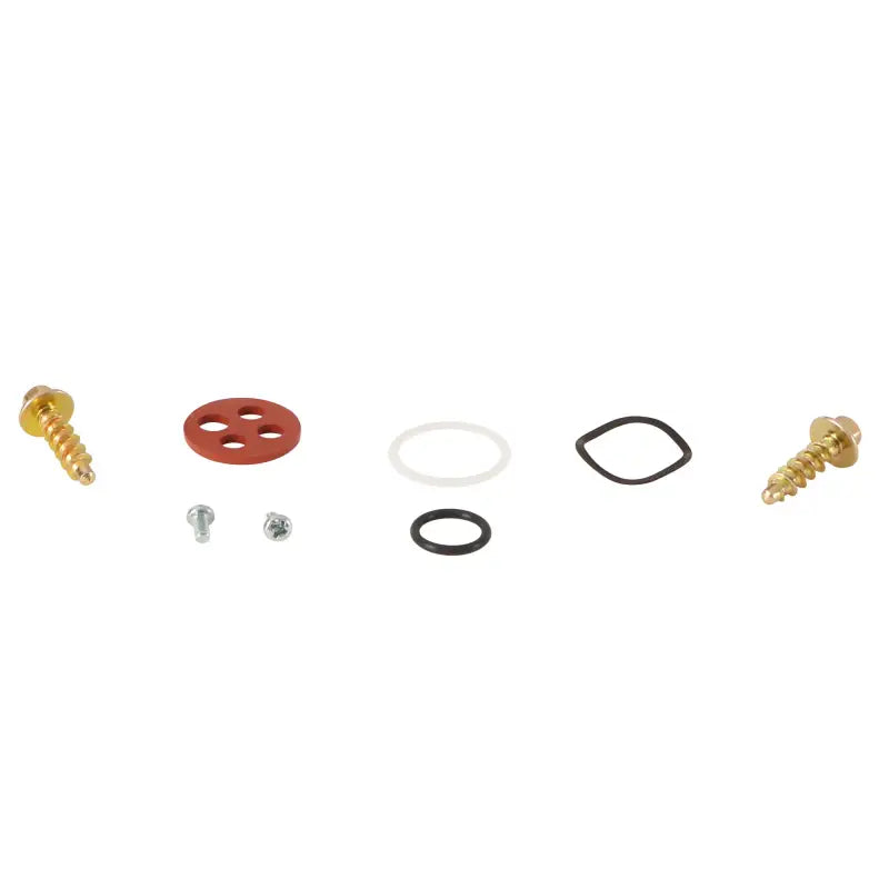 Fuel Tap Repair Kit wps-260-1140