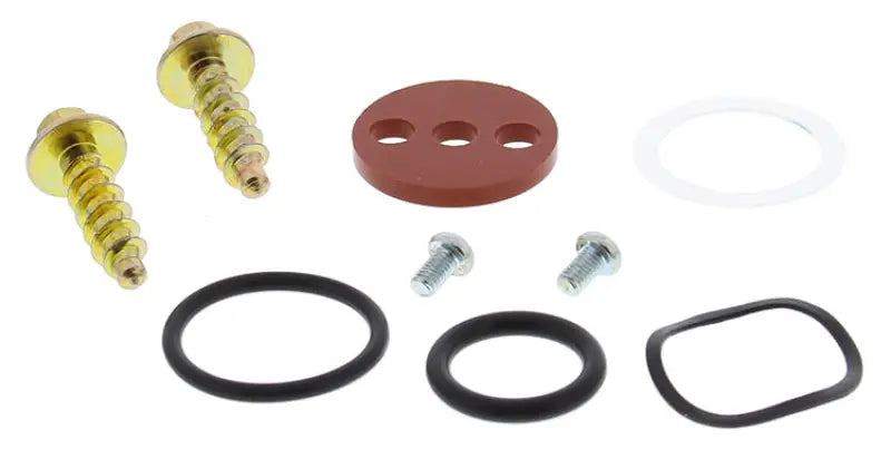 Fuel Tap Repair Kit wps-260-1022