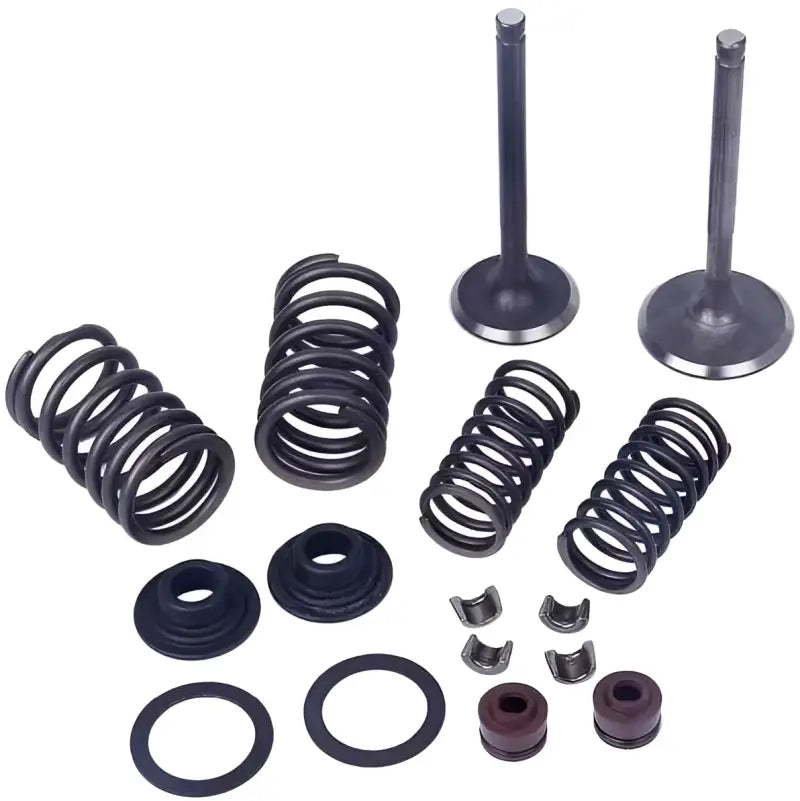 Valve Kit 250 300 wps-609-1130